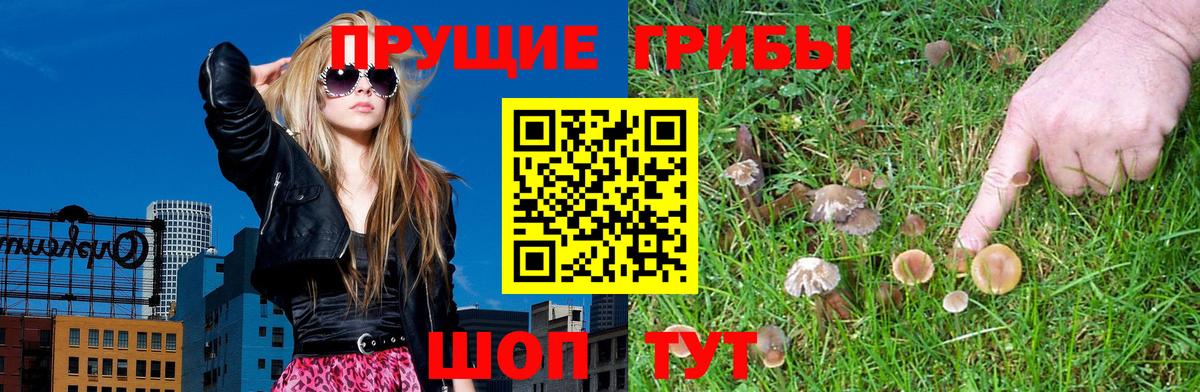 Набережные Челны  Псилоцибиновые грибы мухоморы  Вход с VPN  Галлюциногенные грибы мухоморы 